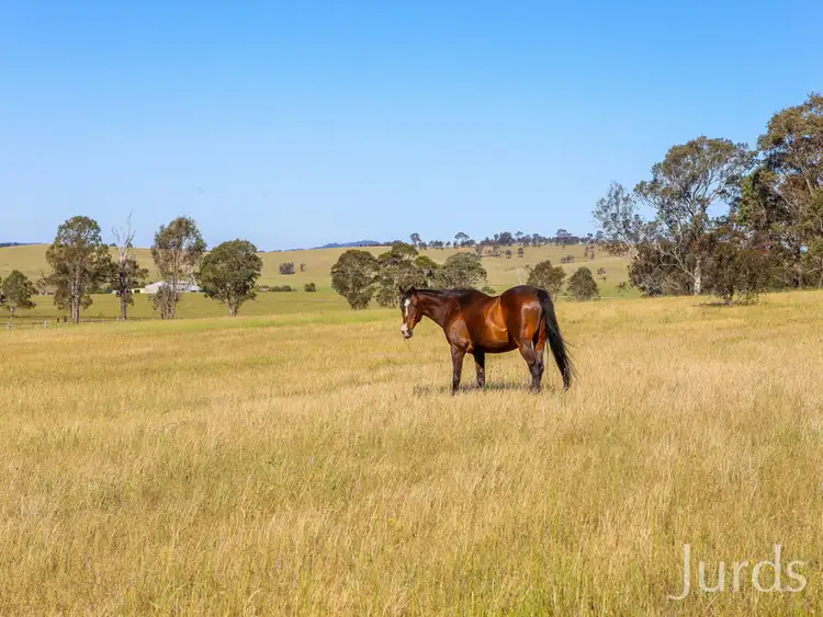 Fourth view of Homely rural property listing, Lot 1 / 261 Standen Drive, Lower Belford NSW 2335