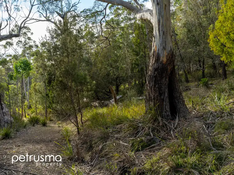 Fifth view of Homely land listing, 67 Williams Road, Randalls Bay TAS 7112