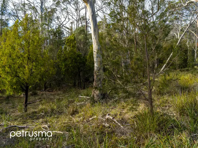 Sixth view of Homely land listing, 67 Williams Road, Randalls Bay TAS 7112