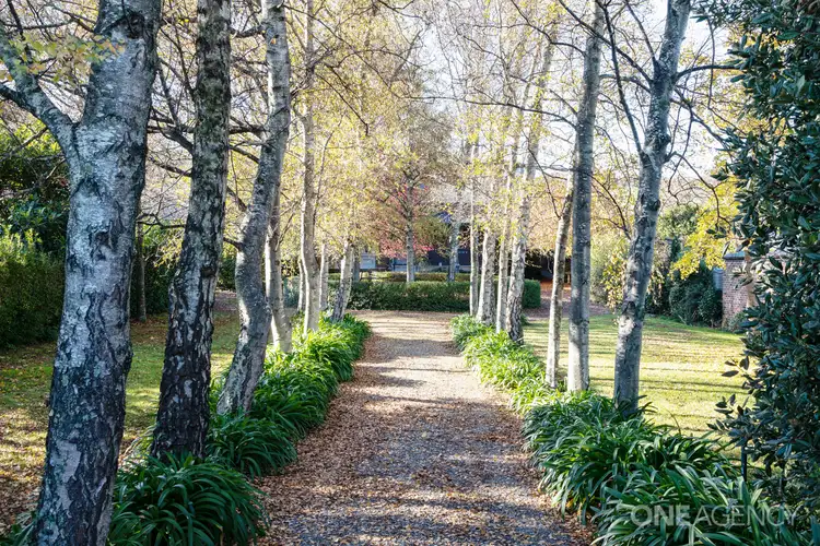 Second view of Homely house listing, 41 West Barrack Street, Deloraine TAS 7304