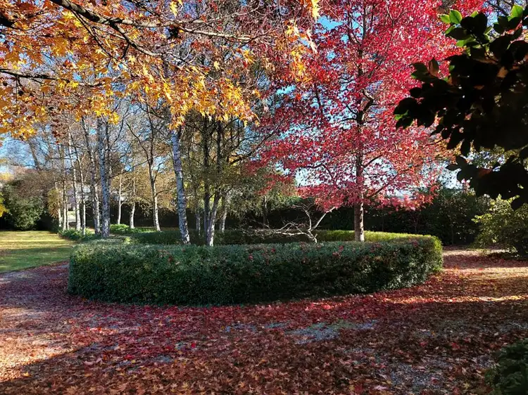 Fourth view of Homely house listing, 41 West Barrack Street, Deloraine TAS 7304