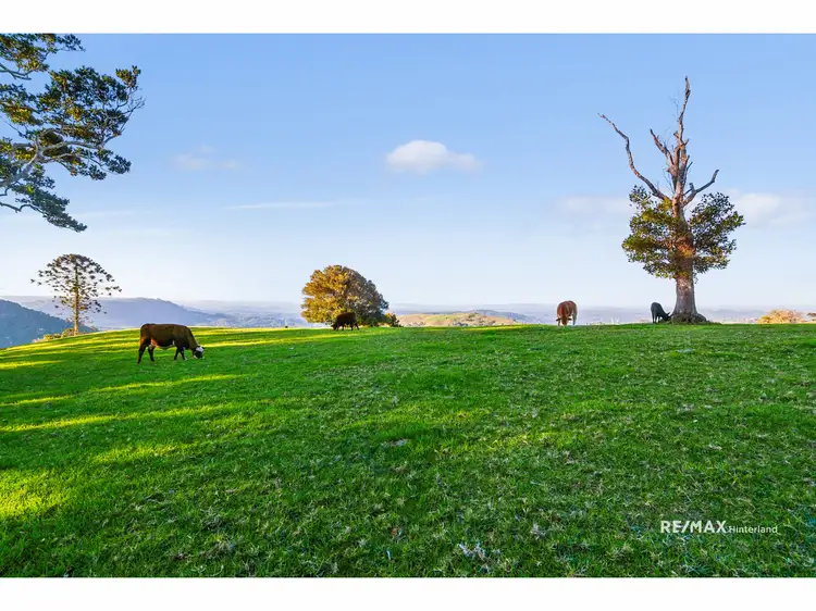 Main view of Homely land listing, 820 Landsborough Maleny Road, Bald Knob QLD 4552