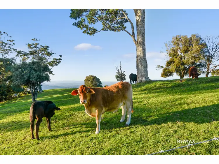 Sixth view of Homely land listing, 820 Landsborough Maleny Road, Bald Knob QLD 4552