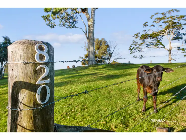 Seventh view of Homely land listing, 820 Landsborough Maleny Road, Bald Knob QLD 4552