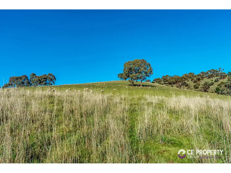 Fifth view of Homely house listing, 133 Goulds Creek Road, One Tree Hill SA 5114