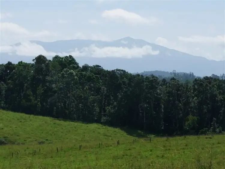 Fifth view of Homely rural property listing, F700 Lot 2 Mullins Road, Millaa Millaa QLD 4886
