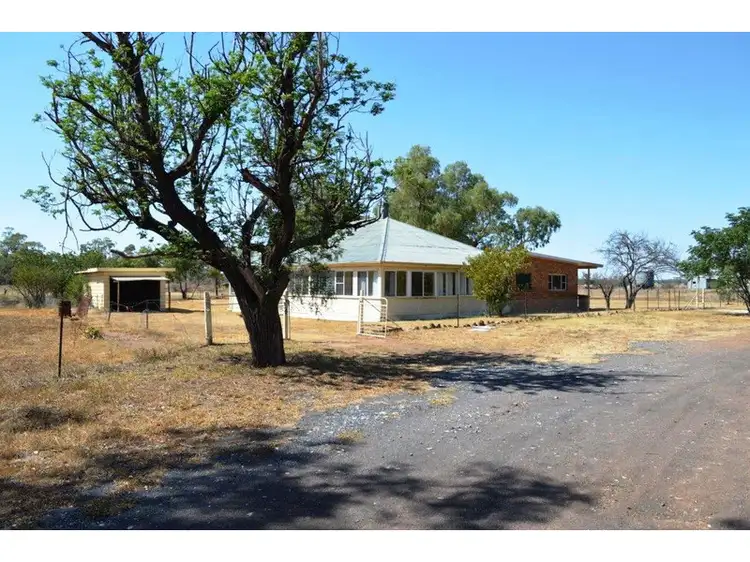 Main view of Homely rural property listing, 1076 Watermark Road, Curlewis NSW 2381