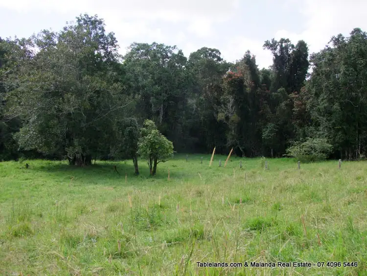 Seventh view of Homely rural property listing, F617 RN262 Pheasant Road, Millaa Millaa QLD 4886