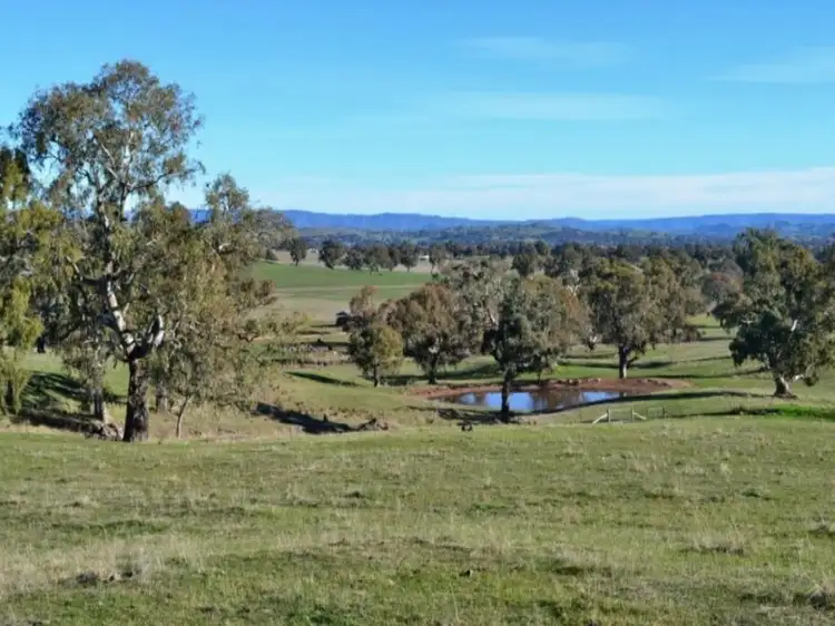 Main view of Homely rural property listing, LOT 1, 191 Mcleod Lane, Mansfield VIC 3722
