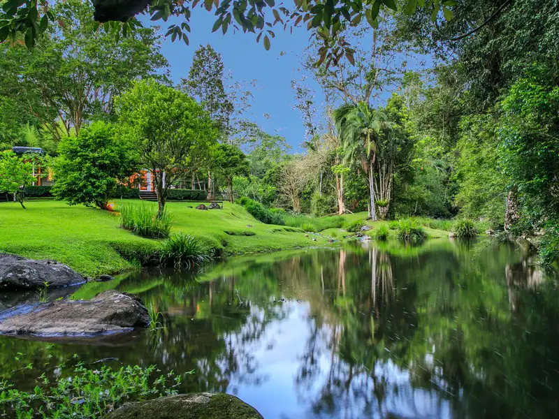 Main view of Homely house listing, 132 Upper Wilsons Creek Road, Wilsons Creek NSW 2482