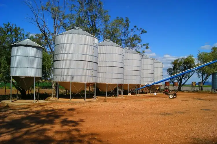 Fourth view of Homely rural property listing, 12323 Oxley Highway, Mullaley NSW 2379