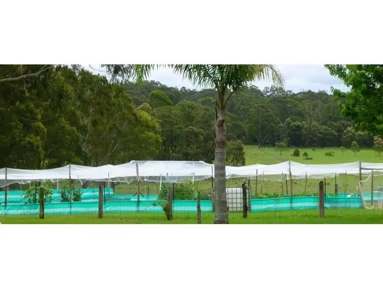 Fifth view of Homely rural property listing, The Sheep Track, Brooman NSW 2538