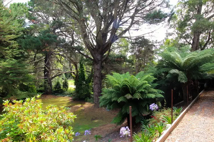 Third view of Homely house listing, 19 Jones Street, Strahan TAS 7468