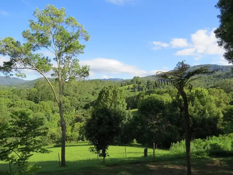 Fifth view of Homely rural property listing, 196 Rowlands creek Road, Uki NSW 2484