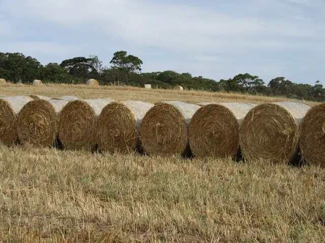 Third view of Homely rural property listing, Section 54 Finniss Milang Road, Finniss SA 5255