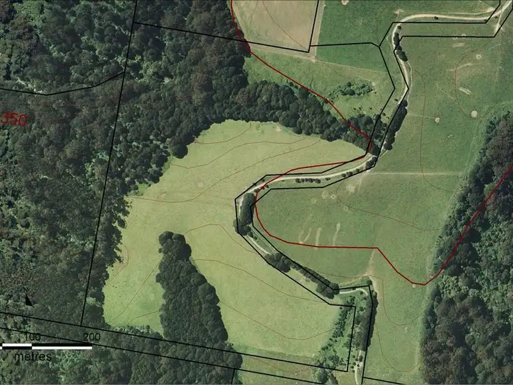 Fourth view of Homely rural property listing, 630 Dehnerts Track, Beech Forest VIC 3237