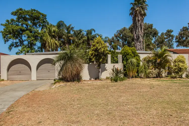 Third view of Homely house listing, 49 Fleetwood Road, Lynwood WA 6147