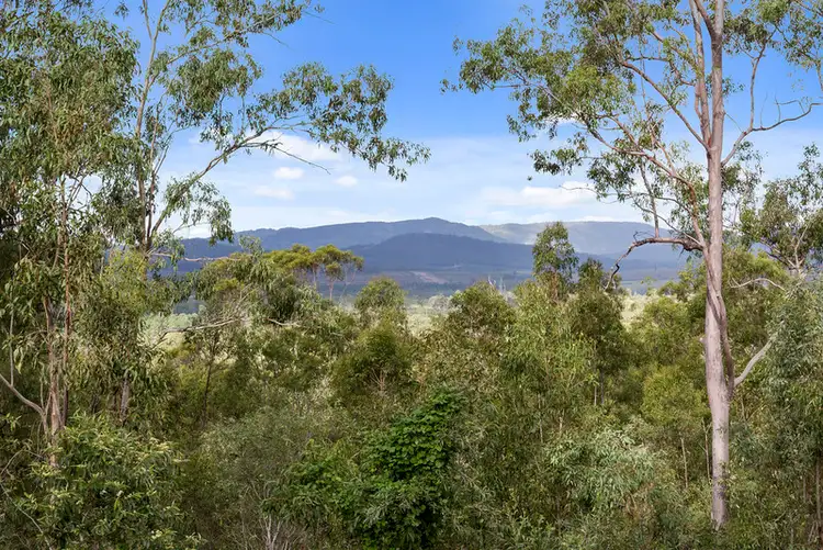 Second view of Homely house listing, 19-25 Naylor Drive, Tamborine QLD 4270