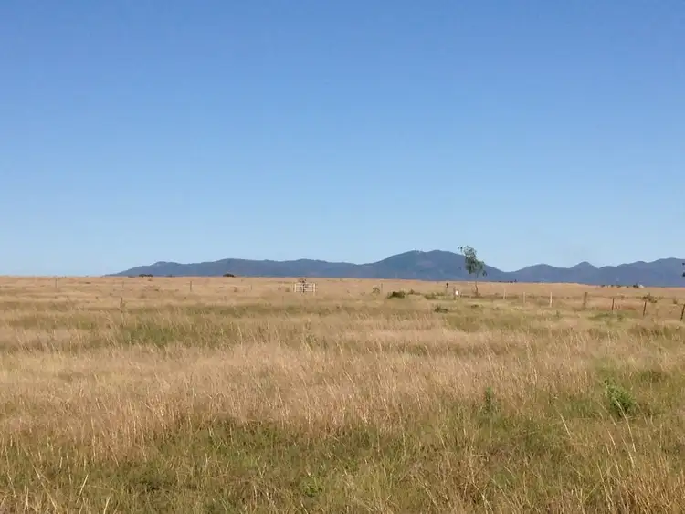 Second view of Homely rural property listing, 715 Laurel Bank Road, Alton Downs QLD 4702