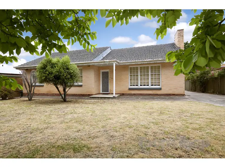 Third view of Homely house listing, 8 Netherby Avenue, Netherby SA 5062