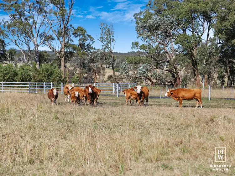 Main view of Homely land listing, LOT 1, 595 Inverary Road, Paddys River NSW 2577
