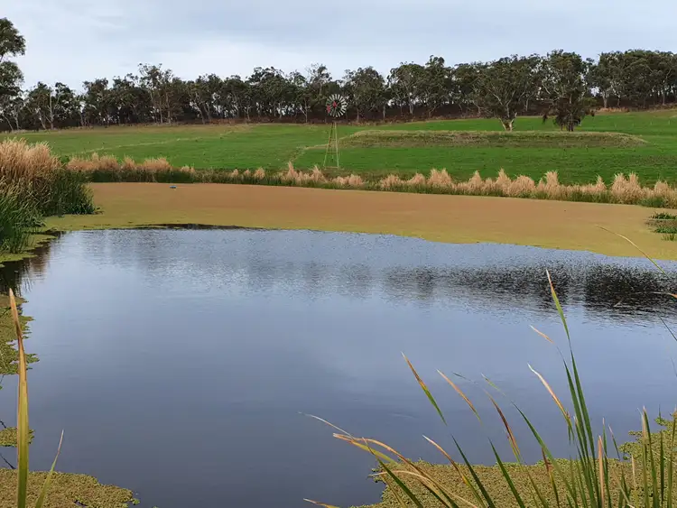 Third view of Homely rural property listing, LOT lot 2, 251 Cooriemungle Road, Cooriemungle VIC 3268
