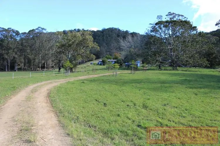 Main view of Homely rural property listing, 91 Lochinvar Road, Wherrol Flat NSW 2429