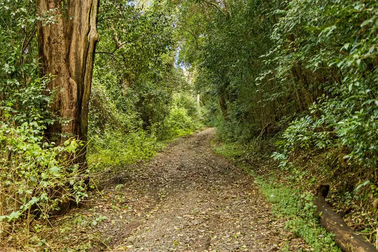 Third view of Homely land listing, 94 New England Highway, Mount Kynoch QLD 4350