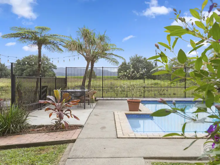 Fifth view of Homely house listing, 5 George Street, Murwillumbah NSW 2484
