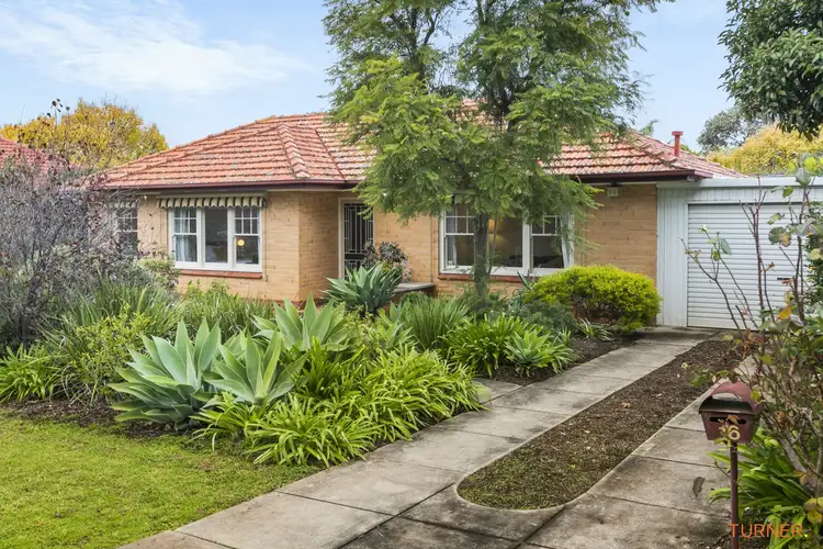 16 Raymel Crescent, Campbelltown SA 5074