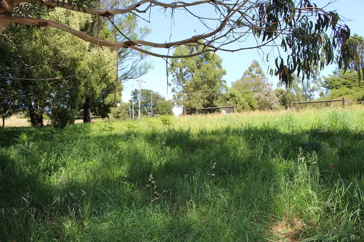 2 Buchanan Street, Beech Forest VIC 3237
