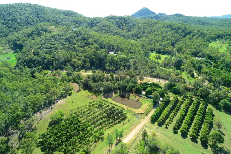 49 Clinton Road, Cawarral QLD 4702