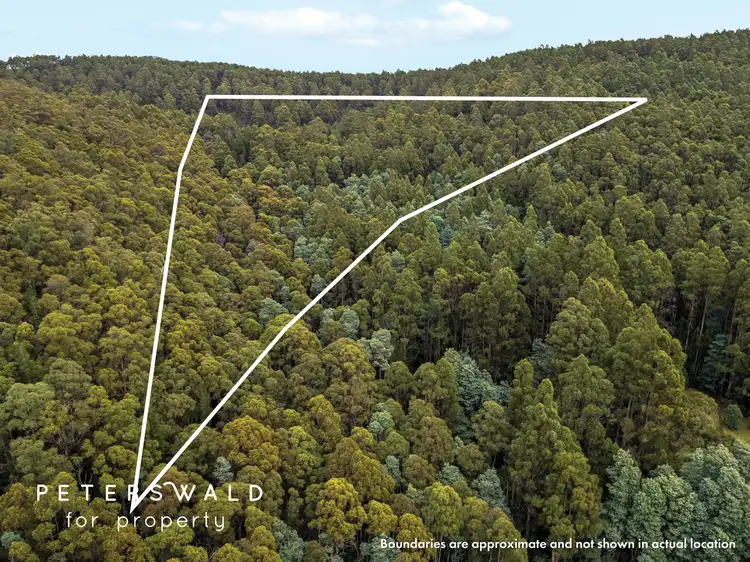 Third view of Homely land listing, 129056/3 Gallaghers Road, Flowerpot TAS 7163