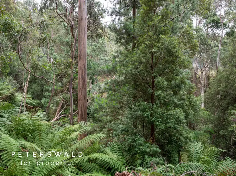 Fourth view of Homely land listing, 129056/3 Gallaghers Road, Flowerpot TAS 7163
