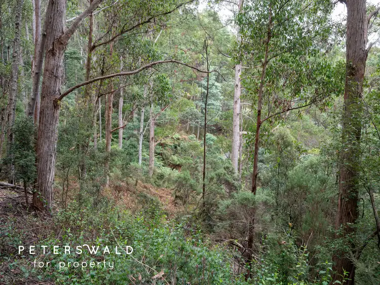 Fifth view of Homely land listing, 129056/3 Gallaghers Road, Flowerpot TAS 7163