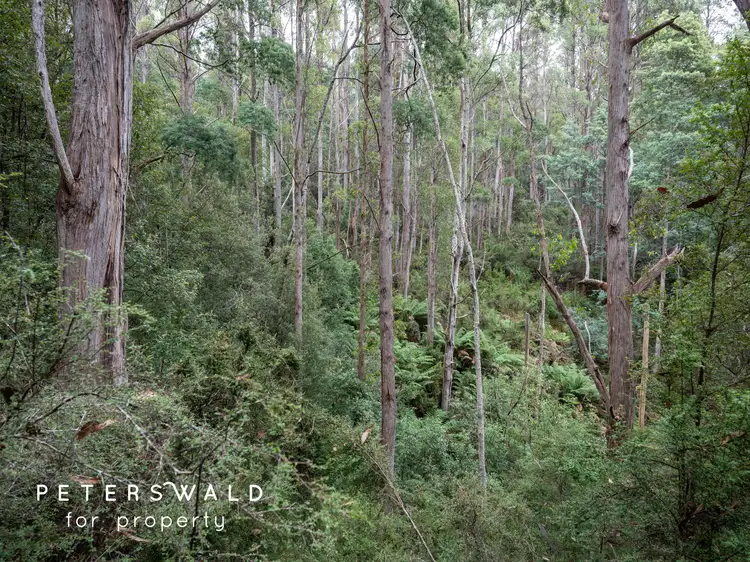 Seventh view of Homely land listing, 129056/3 Gallaghers Road, Flowerpot TAS 7163