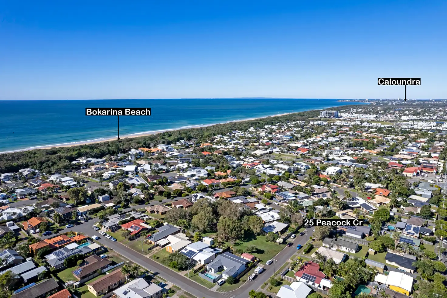 Main view of Homely house listing, 25 Peacock Crescent, Bokarina QLD 4575