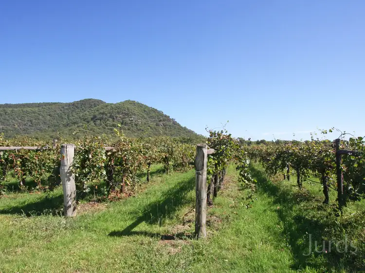 Seventh view of Homely rural property listing, 804 Milbrodale Road, Broke NSW 2330