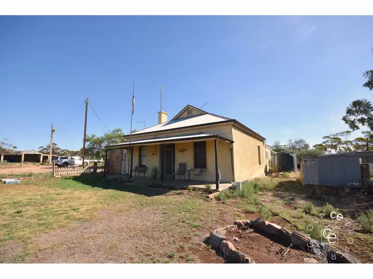 Main view of Homely rural property listing, 977 Gerschwitz Road, Cambrai SA 5353
