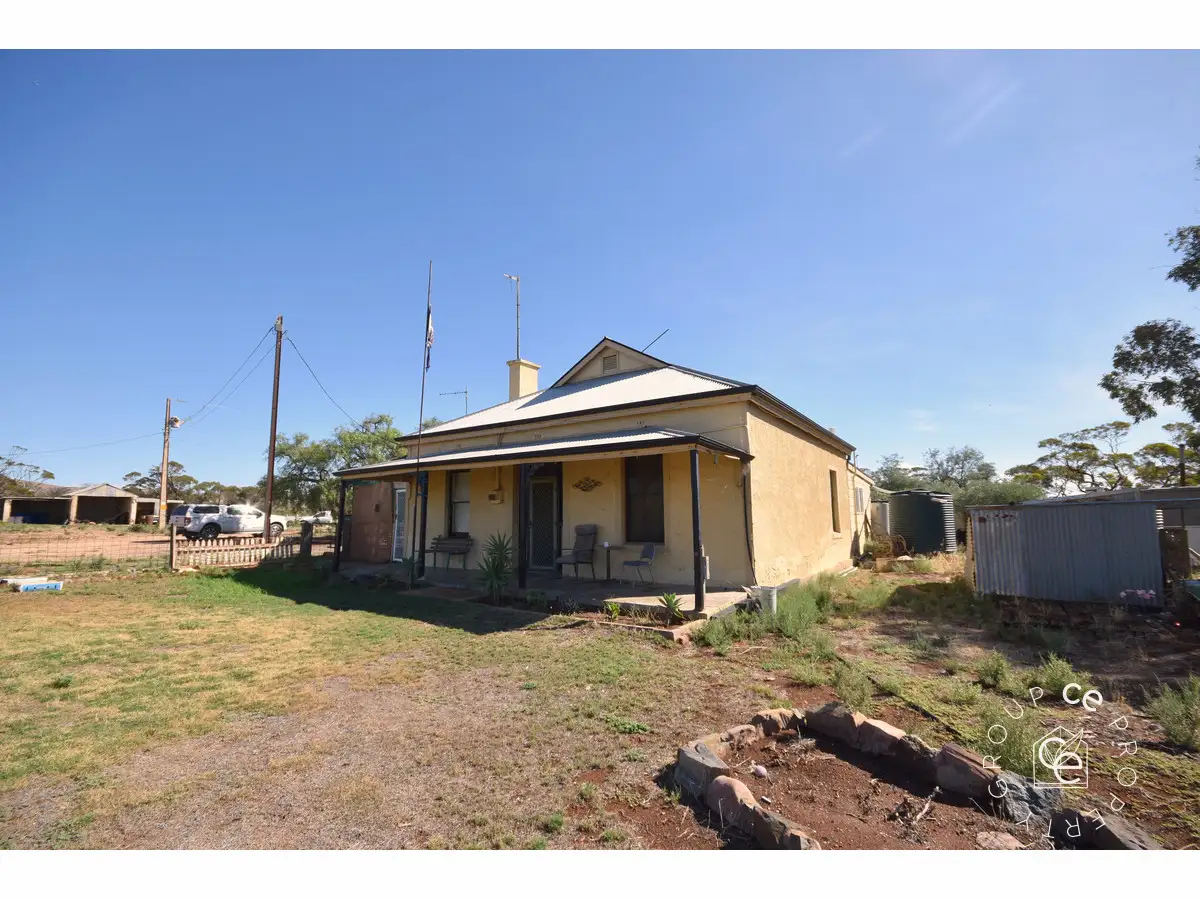 Main view of Homely rural property listing, 977 Gerschwitz Road, Cambrai SA 5353