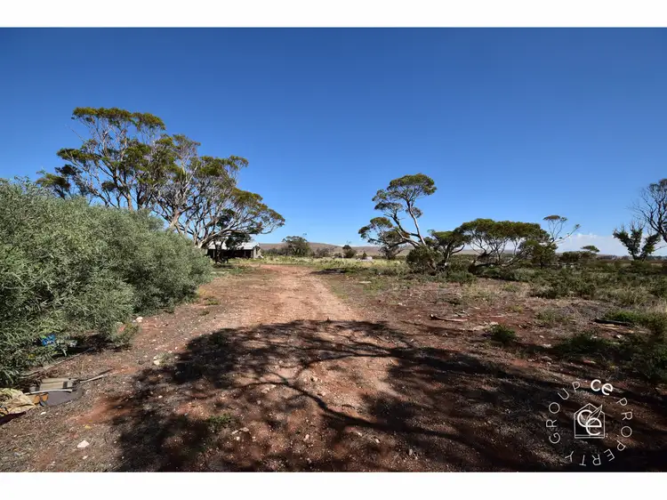 Second view of Homely rural property listing, 977 Gerschwitz Road, Cambrai SA 5353
