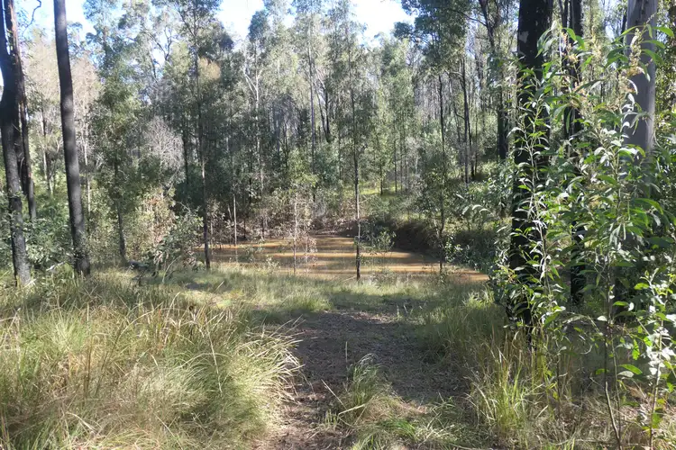 Fourth view of Homely rural property listing, Address available on request