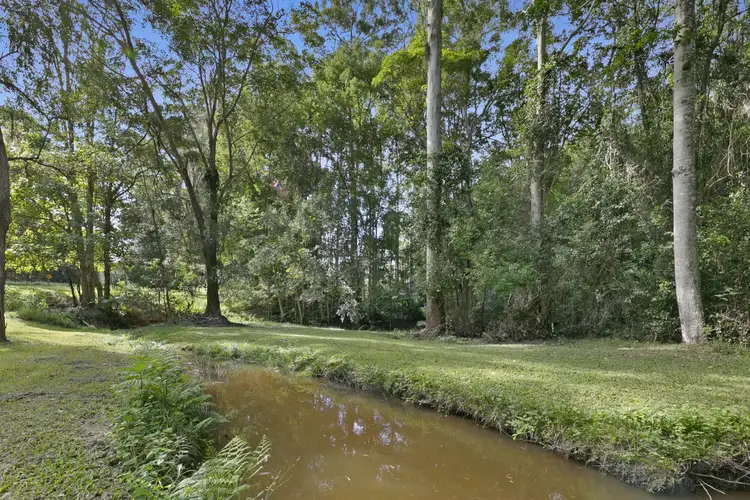 Fourth view of Homely rural property listing, 221 Trees Road, Tallebudgera QLD 4228