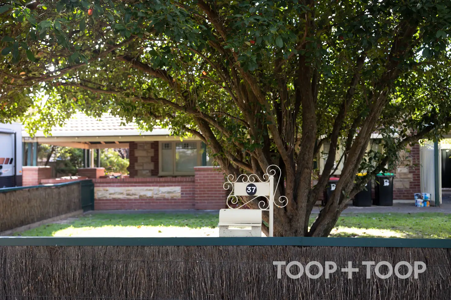 Main view of Homely house listing, 37 Ormond Grove, Toorak Gardens SA 5065