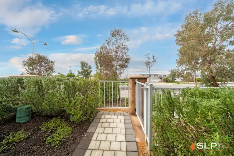Third view of Homely house listing, 245 Grandis Boulevard, Banksia Grove WA 6031