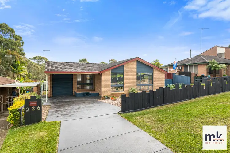 Second view of Homely house listing, 236 Eagleview Road, Minto NSW 2566