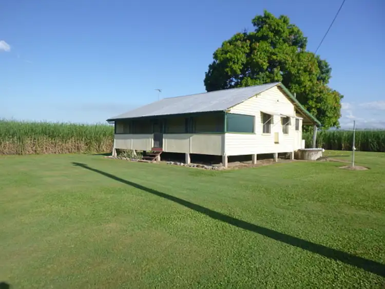 Second view of Homely rural property listing, 175 Como Road, Toobanna QLD 4850