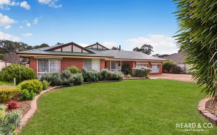 56 Strickland Street, Ascot VIC 3551