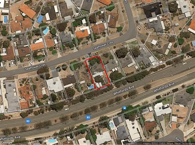 Second view of Homely house listing, 41 Seaflower Crescent, Craigie WA 6025