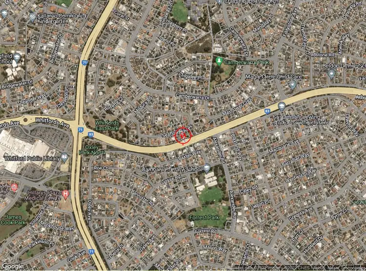 Third view of Homely house listing, 41 Seaflower Crescent, Craigie WA 6025